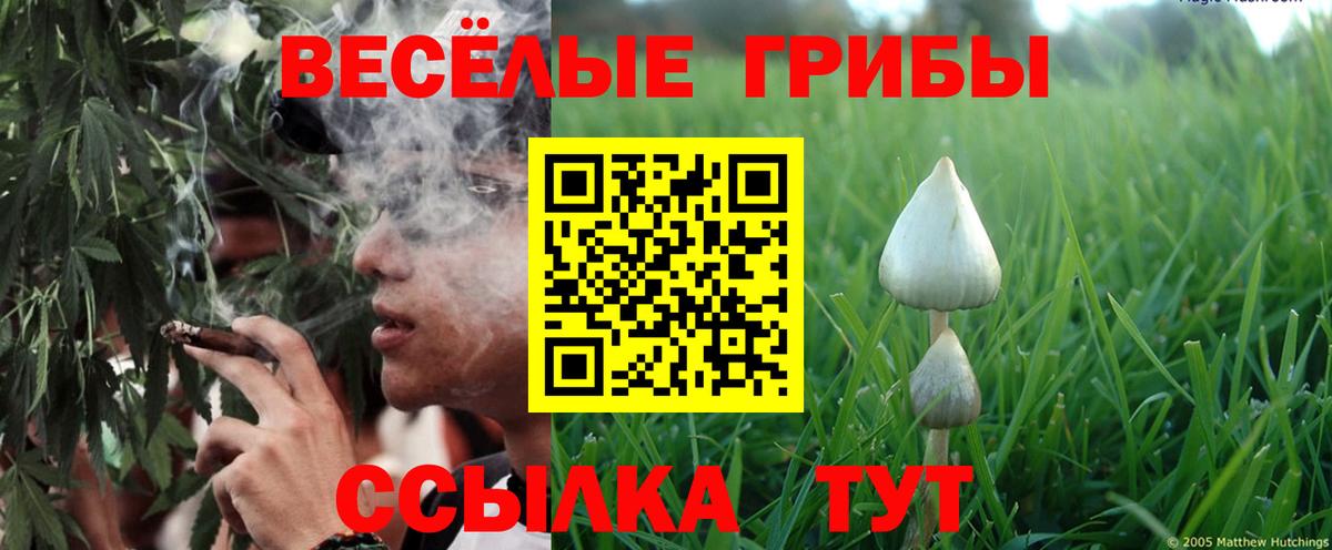 Псилоцибиновые грибы Psilocybe  Галлюциногенные грибы Cubensis  Муравленко  Вход с VPN 